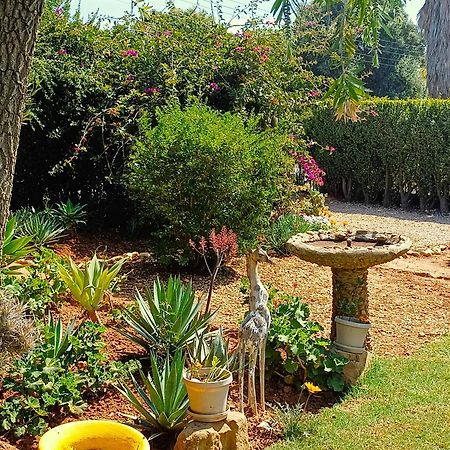 86 On Jubilee Oudtshoorn Exterior foto
