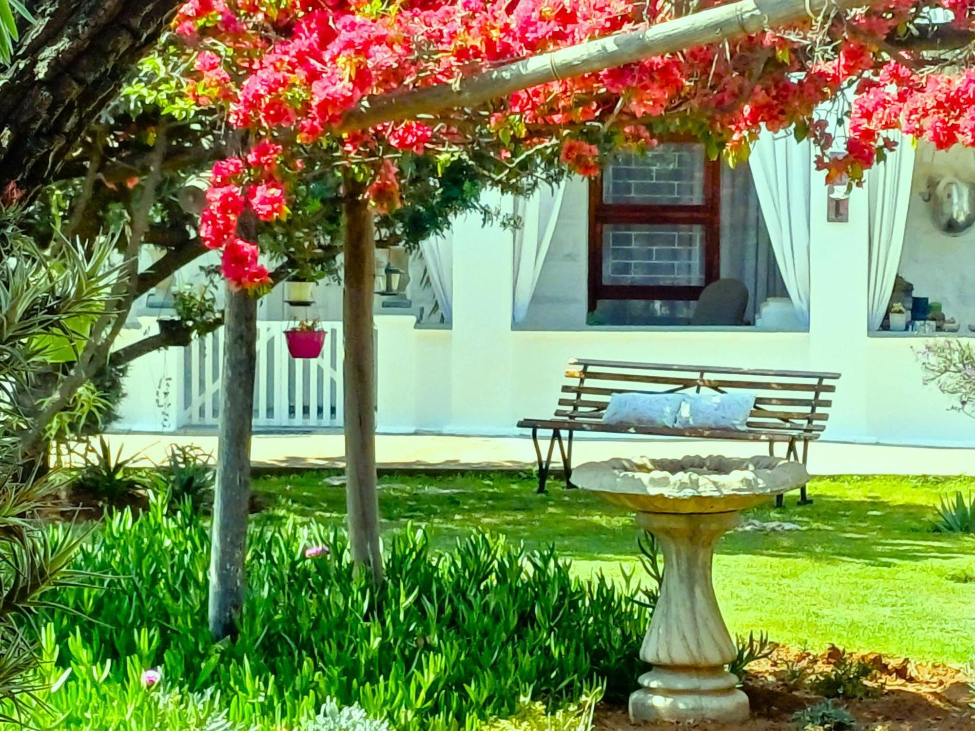 86 On Jubilee Oudtshoorn Exterior foto
